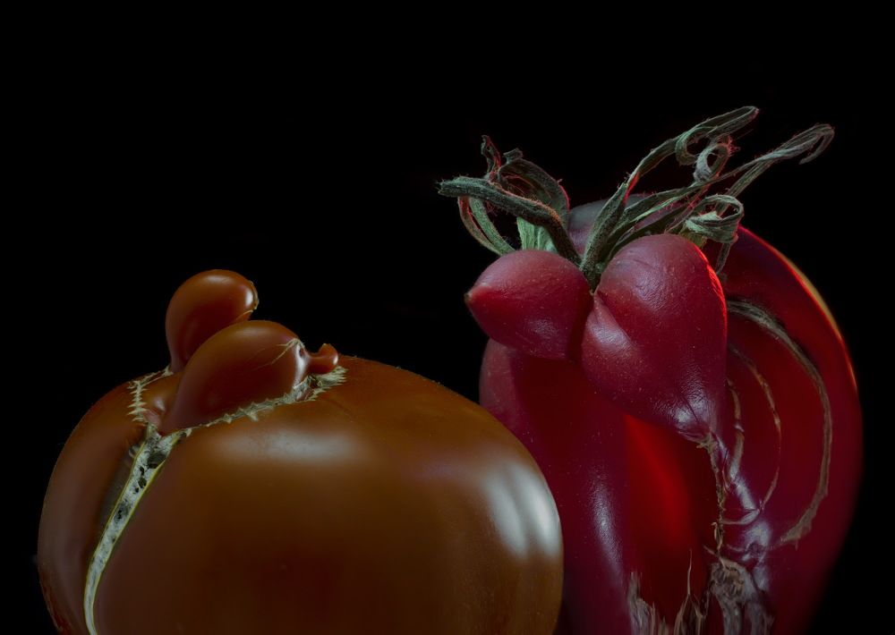 Фотография автора Черновол Валентин