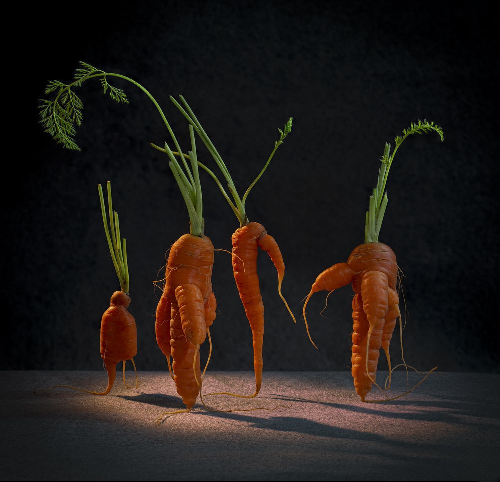 Photograph by Черновол Валентин