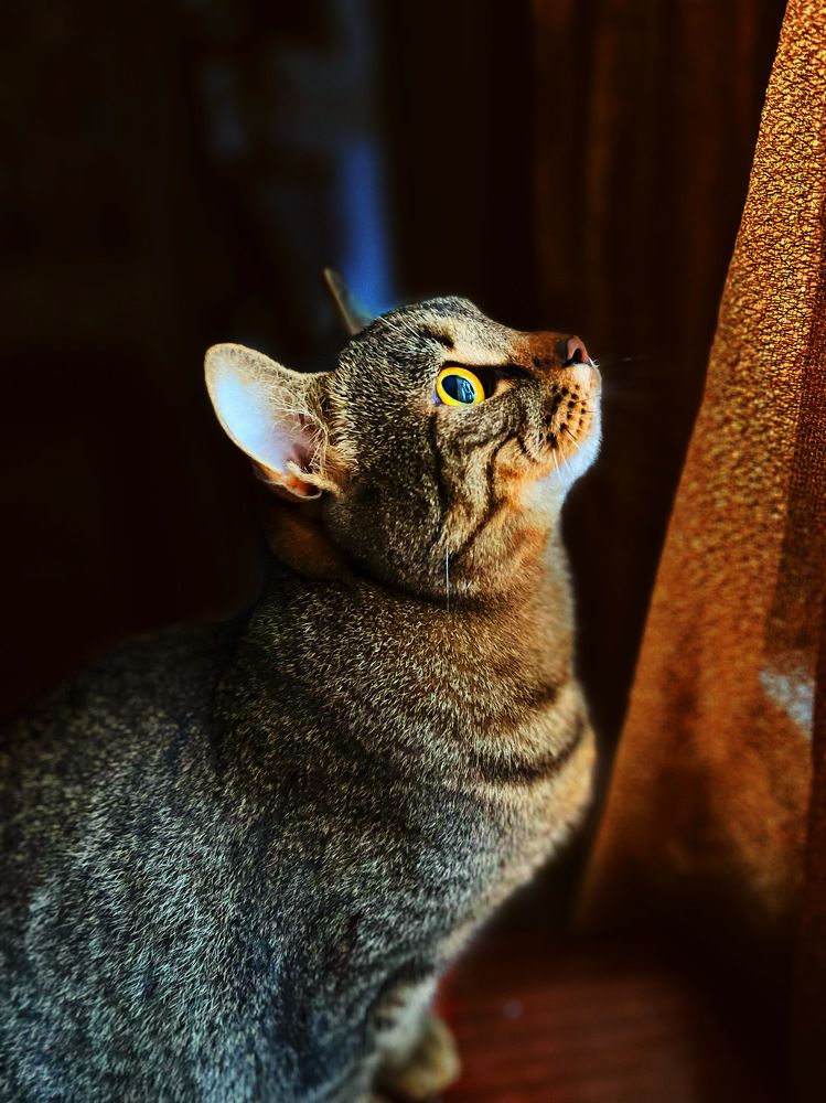 Photograph by Екатерина