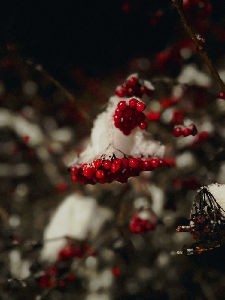 Photograph by Екатерина