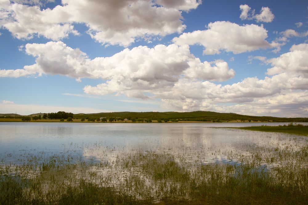 Photograph by Lucia Correia