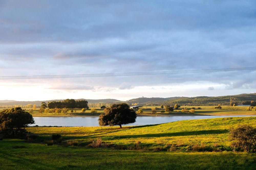 Photograph by Lucia Correia