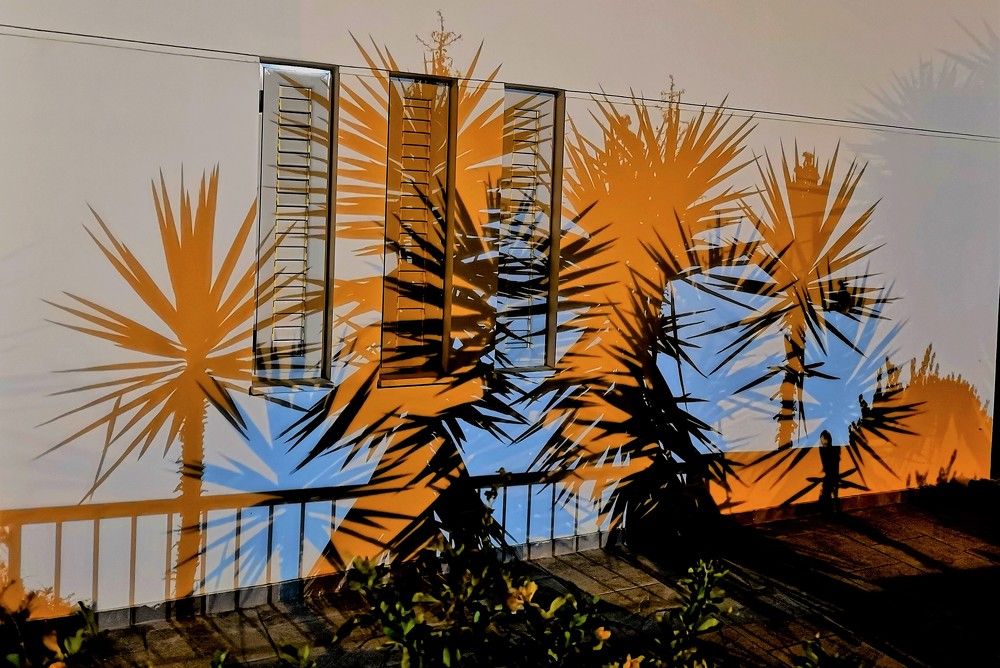 Photograph by Владимир Кривенко