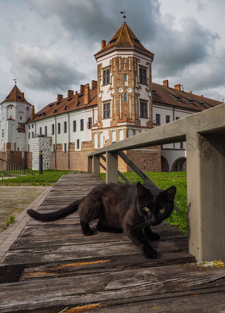 Photograph by Елена Зинцова