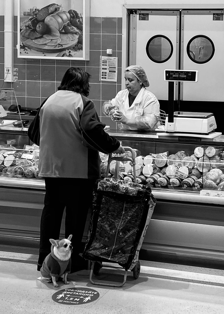 Photograph by Наталья Чертищева