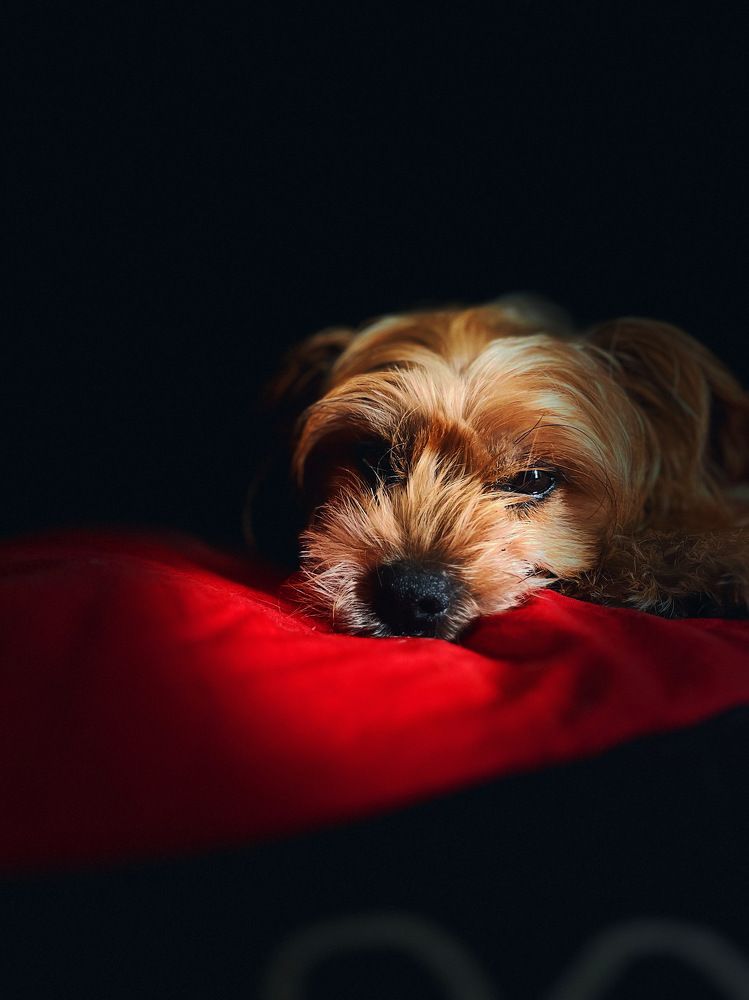 Photograph by Екатерина