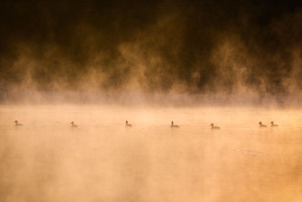Photograph by Виктория Быкова