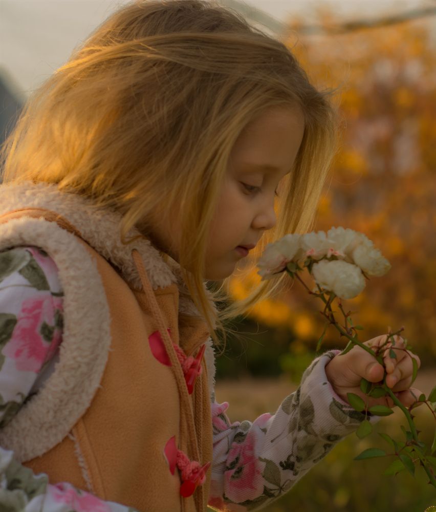 Photograph by Елена Плотникова