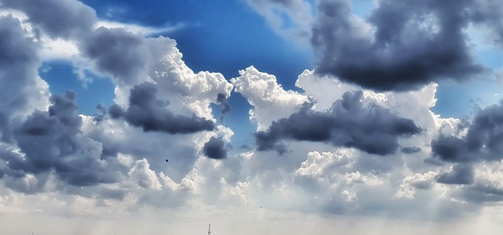 Photograph by Dr.Pradeep Agrawal