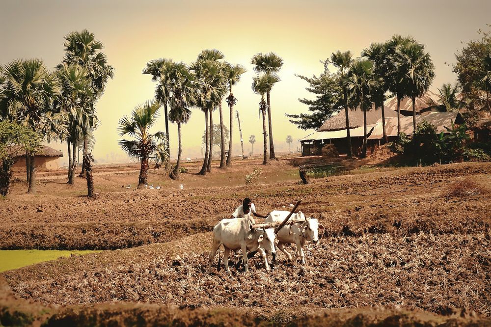 Photograph by Tanusri RoyChowdhury