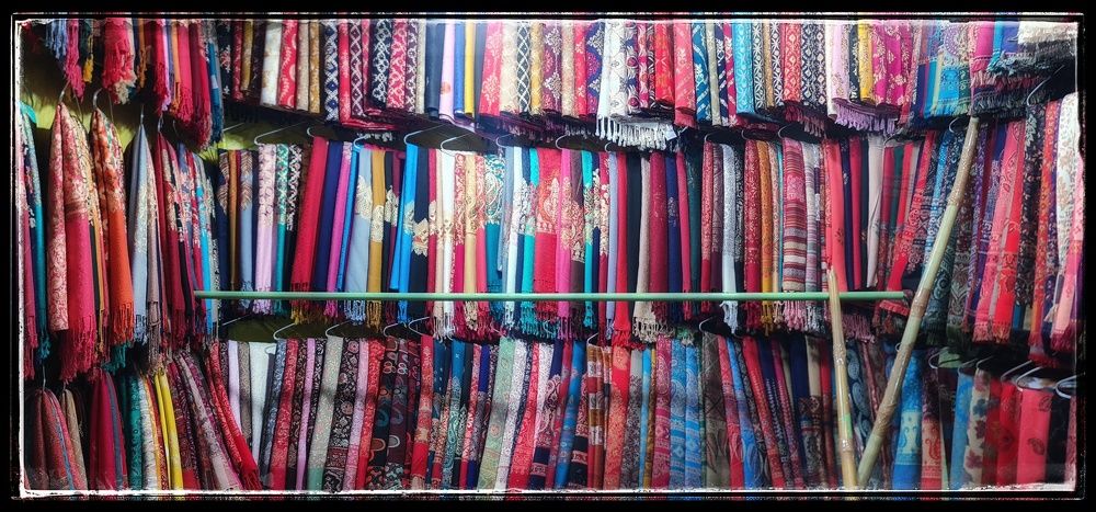 Photograph by Dr.Pradeep Agrawal