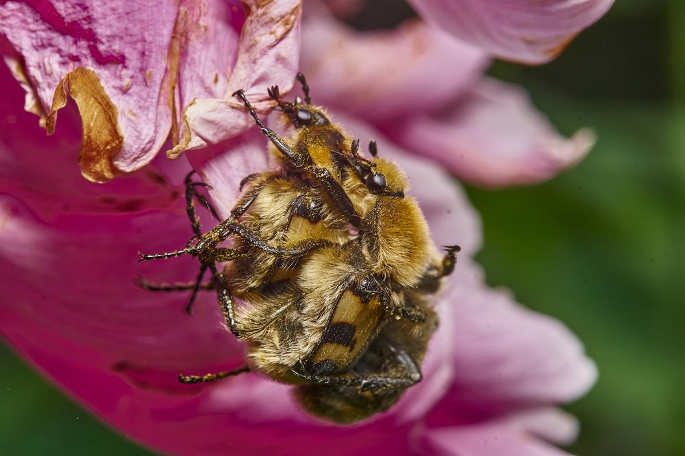 Фотография автора Игорь Игоревич