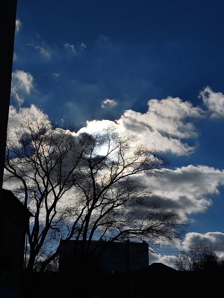 Photograph by Анастасия