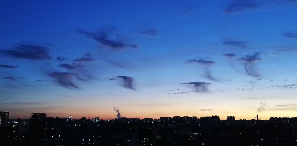 Птицы-облака