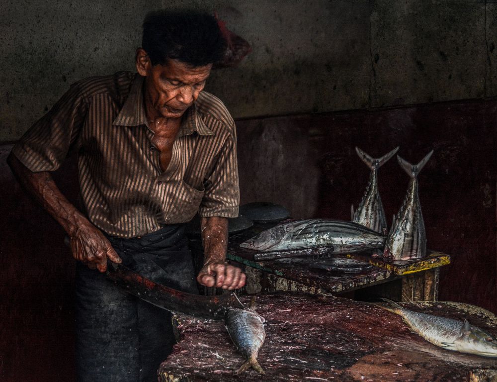 Photograph by Pakalon Janakan