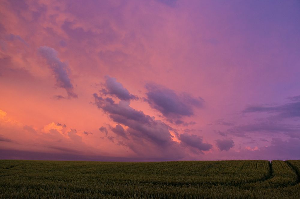 Photograph by Наталья Подмогильная