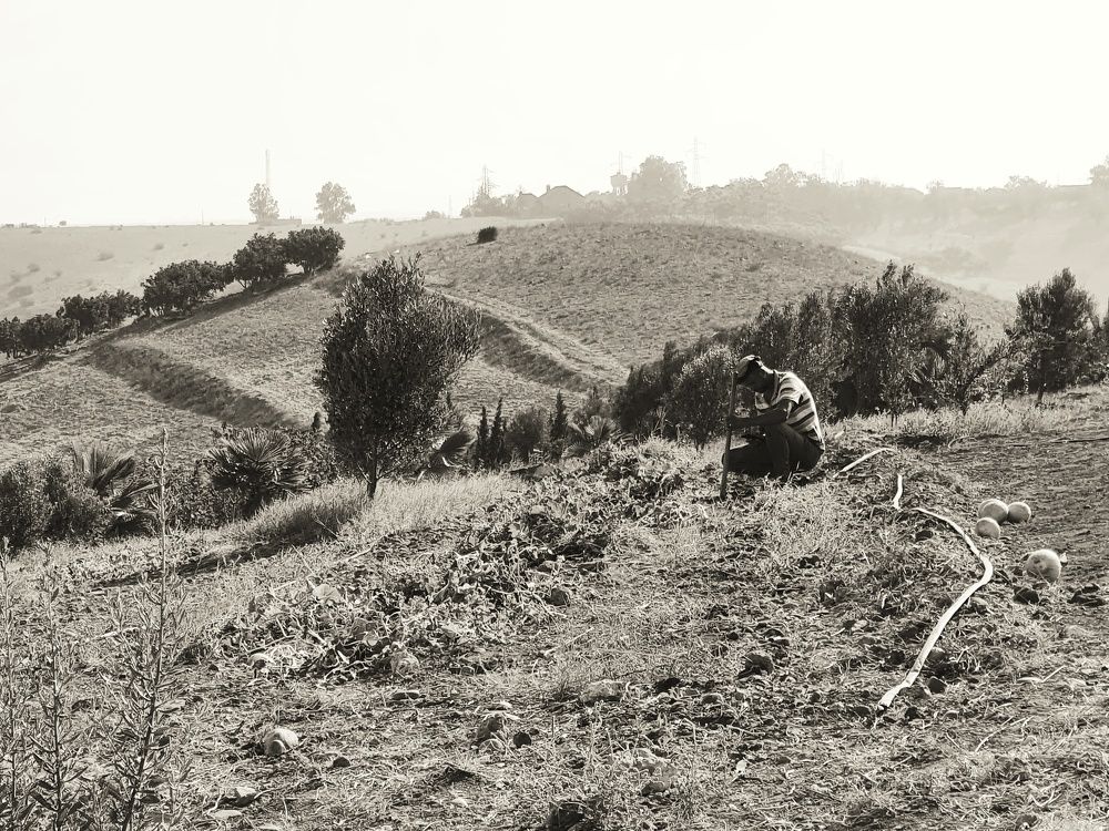 Photograph by Hicham Chraibi