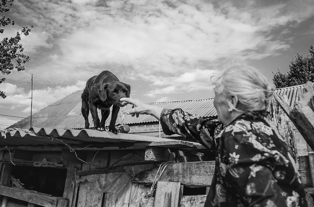 Фотография автора Романова Инга