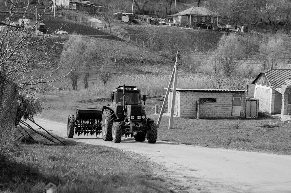 Photograph by Кристина Присакарь