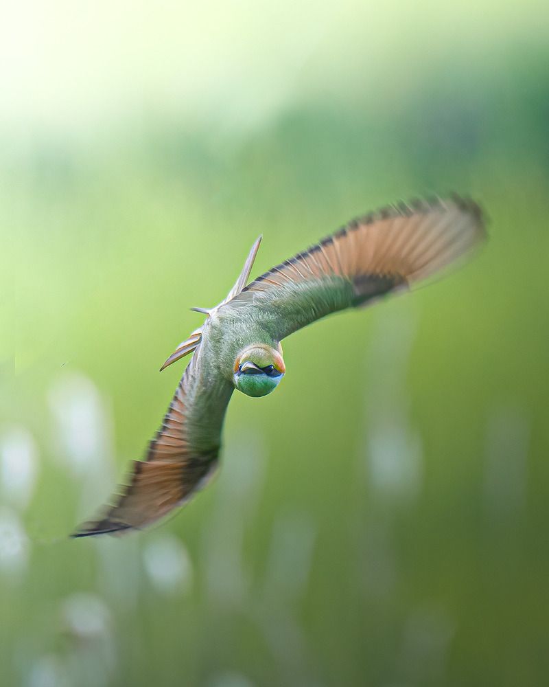 Photograph by Mohamed Raseem