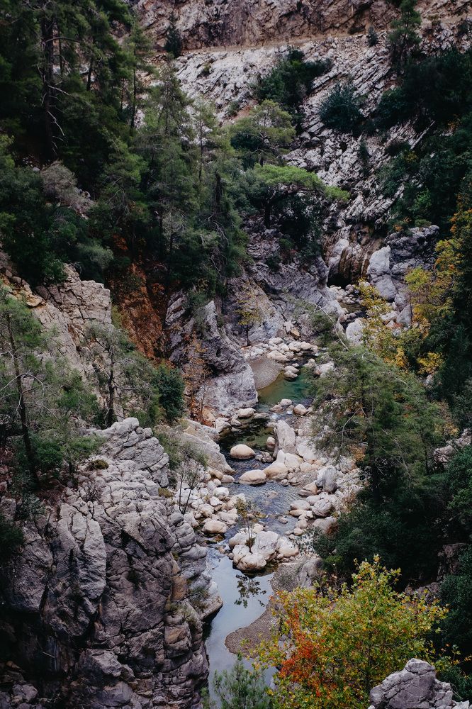 Фотография автора Oxana Yurasova