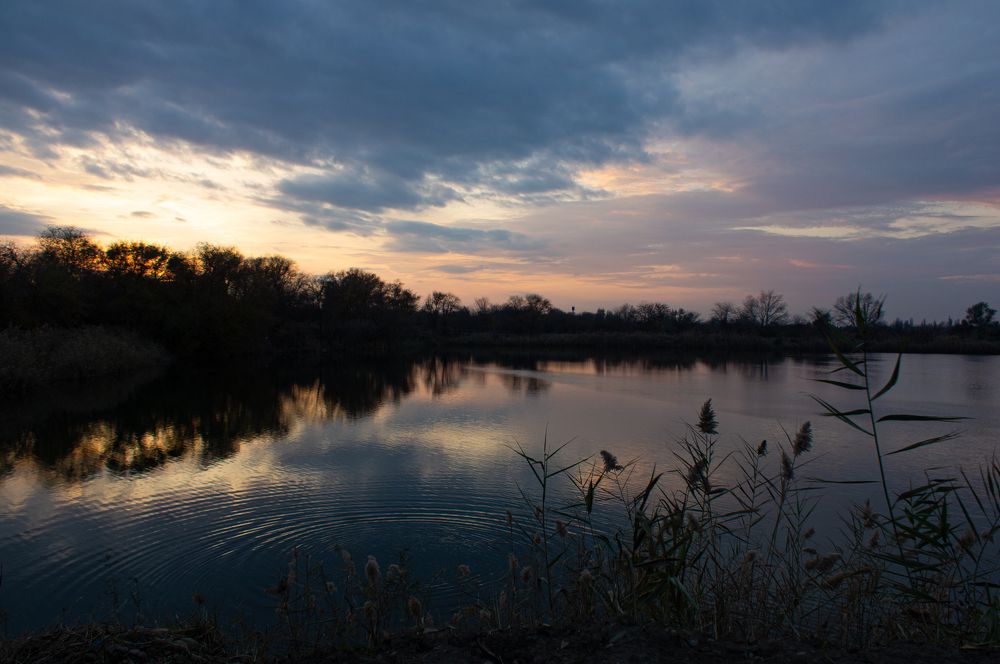 Photograph by Наталья Подмогильная