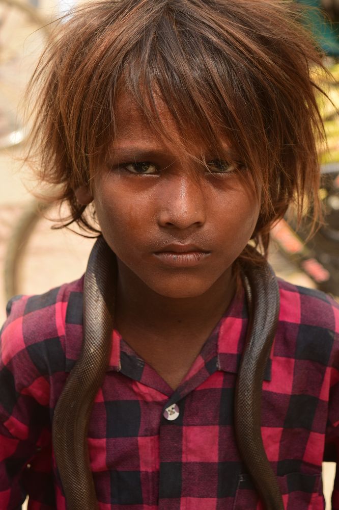 Son of a Snake Charmer