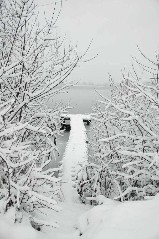 Photograph by Анастасия Исайкина