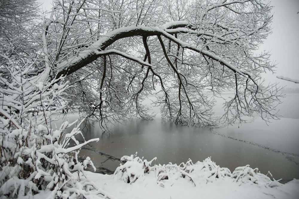 Photograph by Анастасия Исайкина