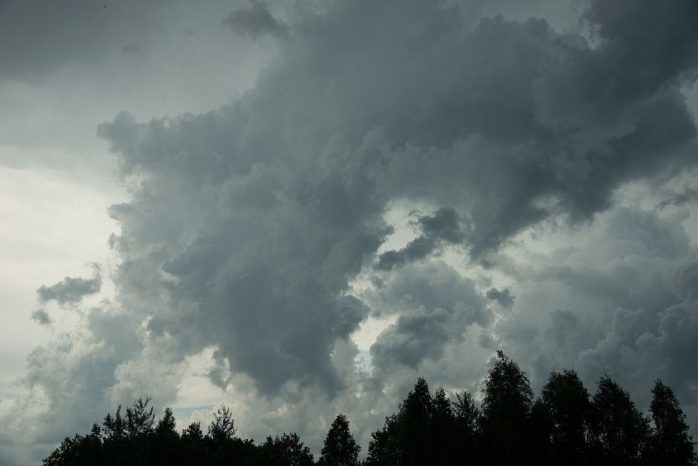 Photograph by Анастасия Исайкина