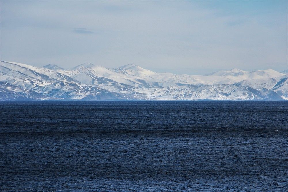 Photograph by Юлия Гудевич