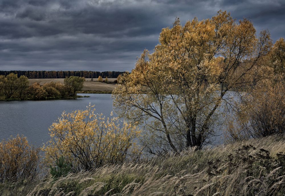 Фотография автора Александр Сальников