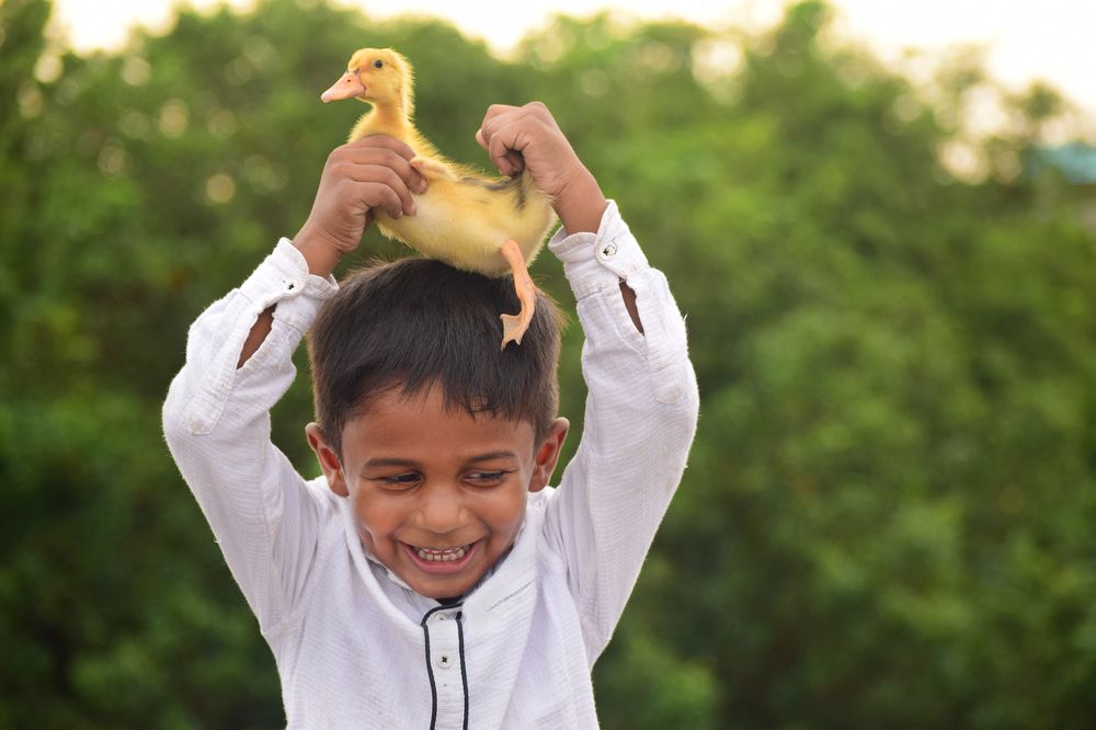 Photograph by shashiranjan prakash