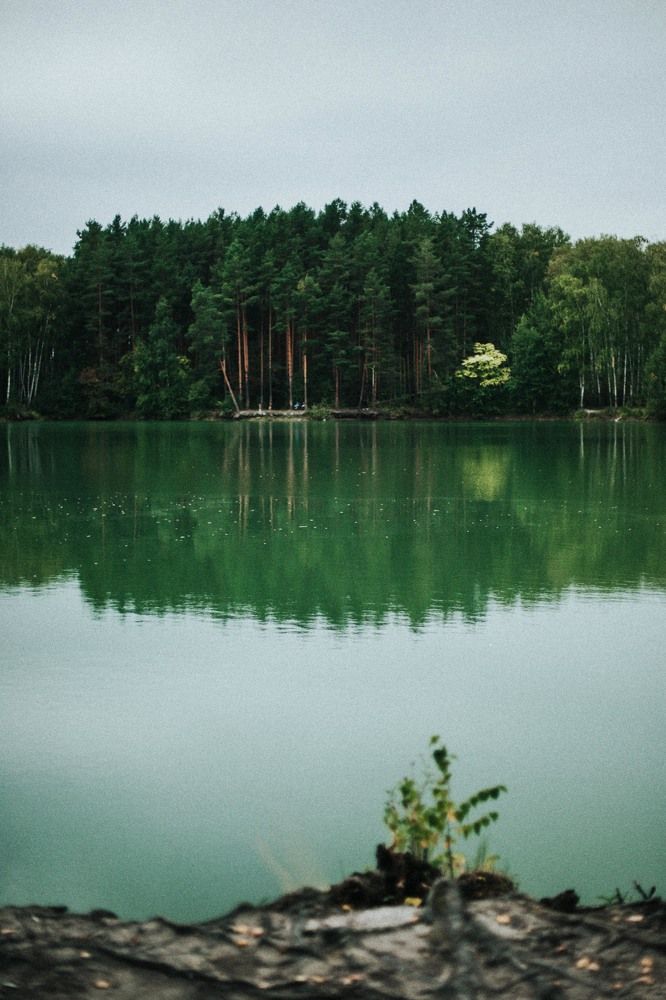 Photograph by Ирина Дьяченко