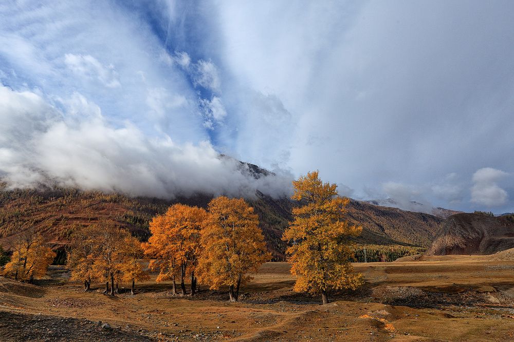 Photograph by Sokolova Tatiana