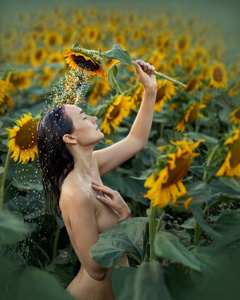 Photograph by Natalie Seitner