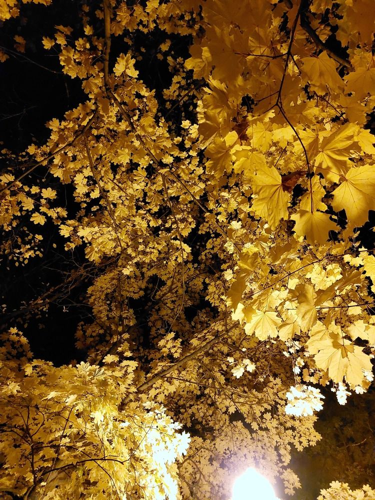 Photograph by Анастасия