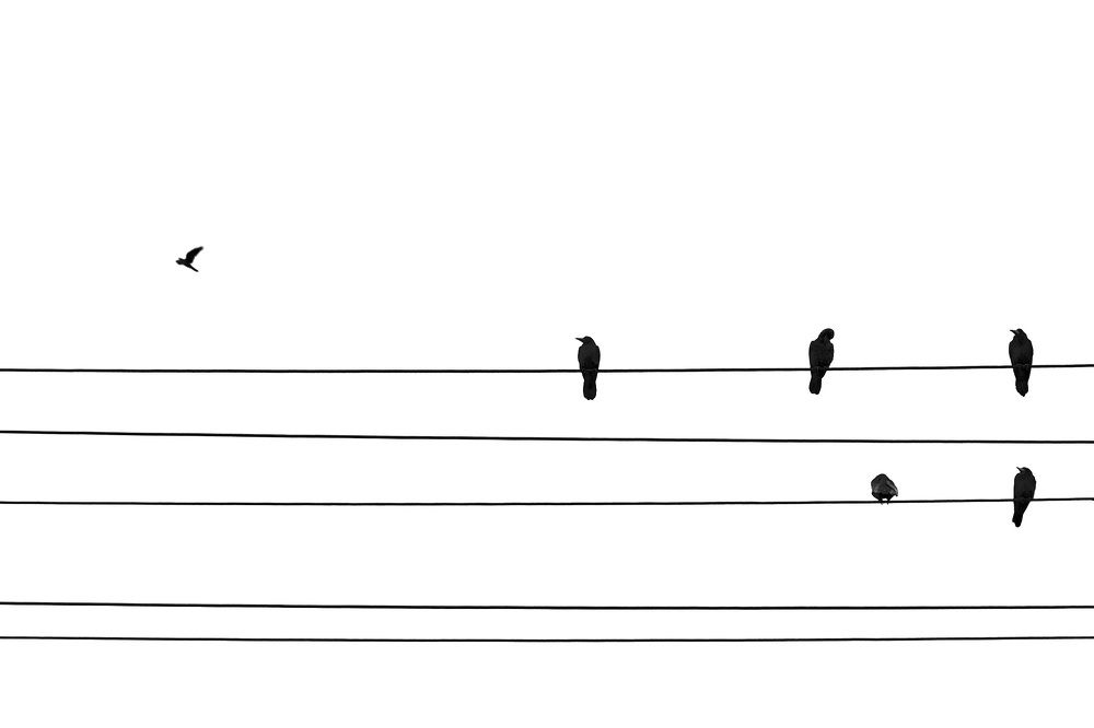 Photograph by sadegh alavi