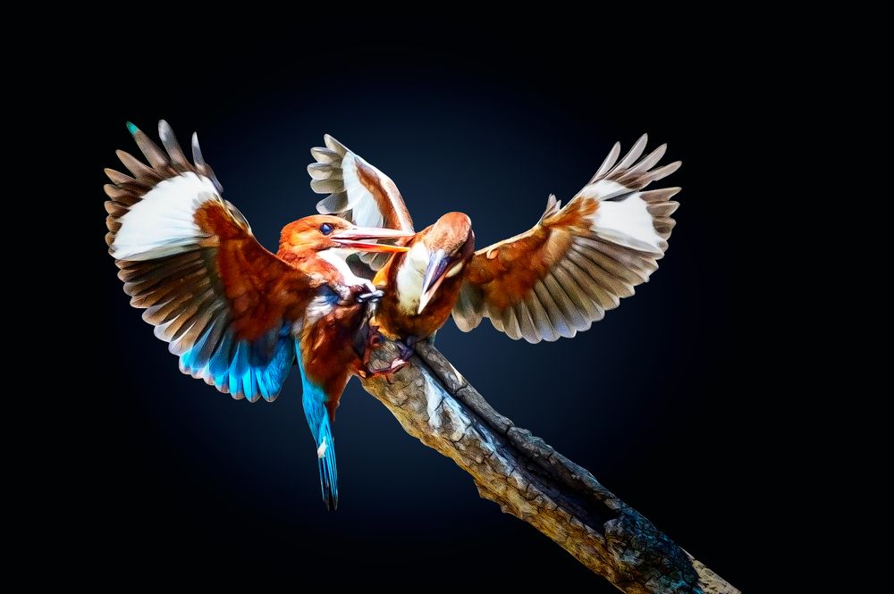 Photograph by David Lerer