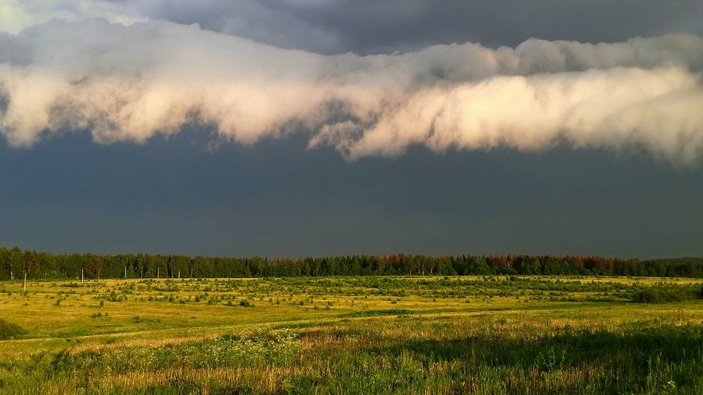 Photograph by Ольга Лысенко