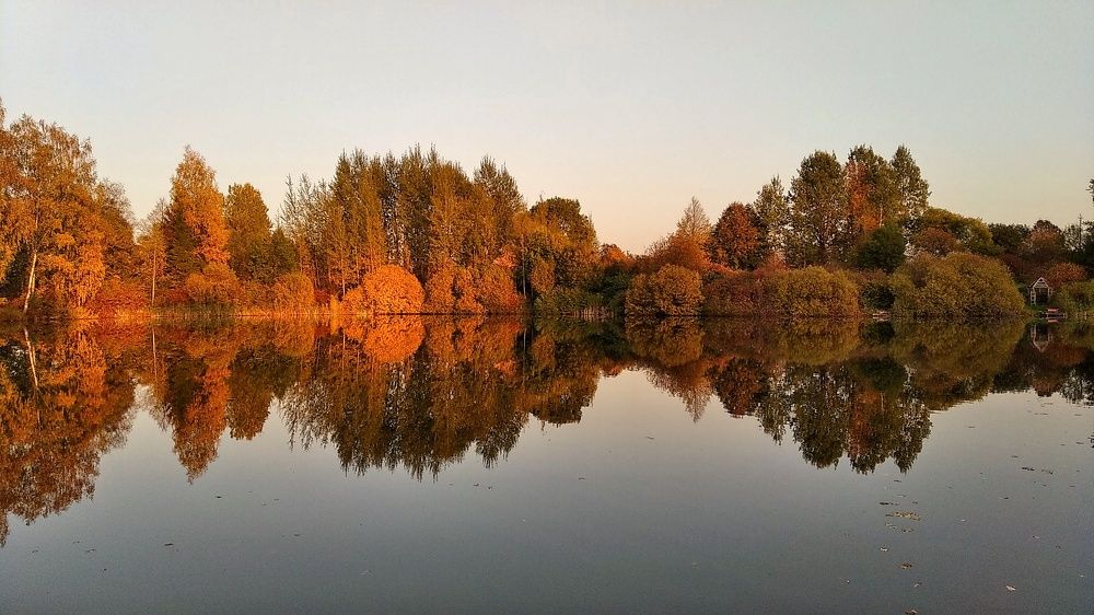 Photograph by Татьяна Абабкова