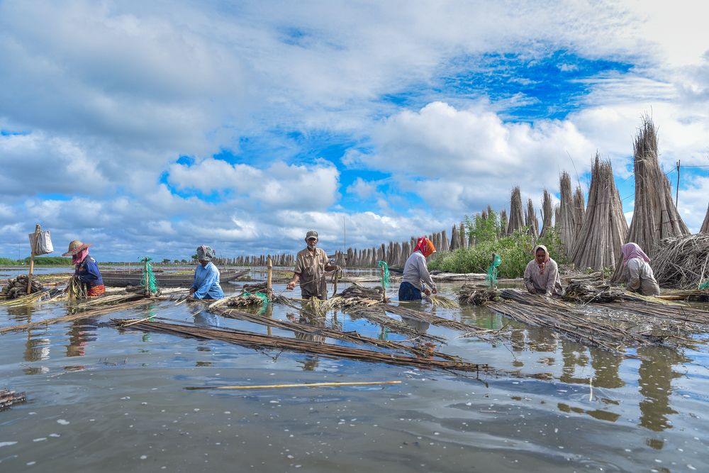 Photograph by Tanmoy Das