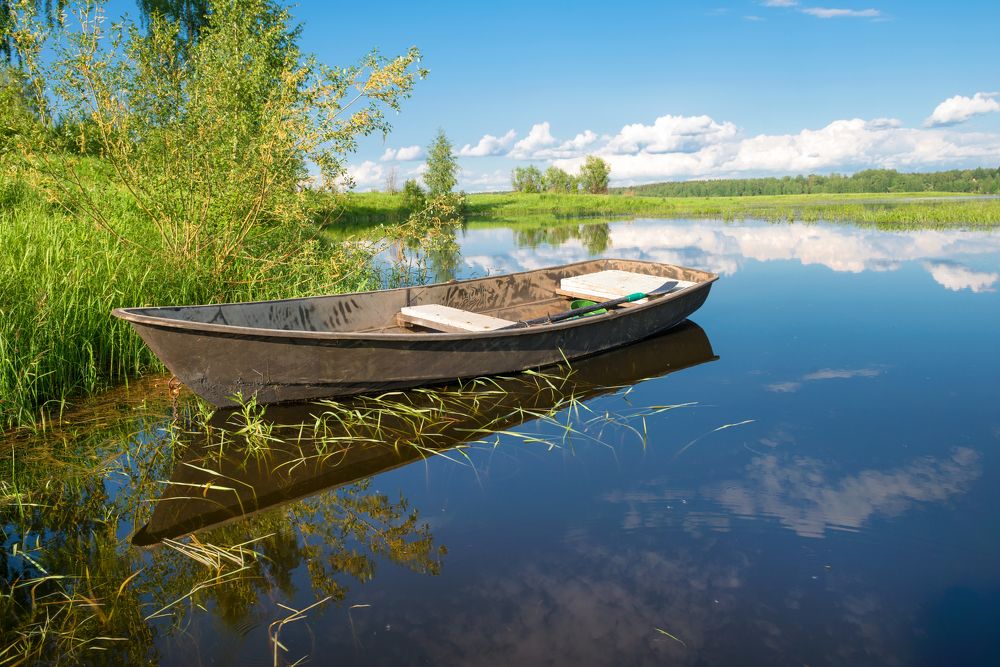 On the lake on a summer day