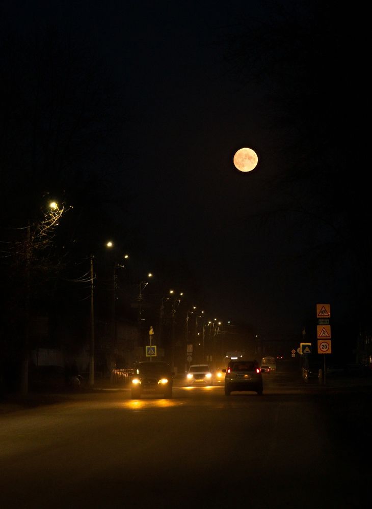 Photograph by Екатерина Александровна Тырышкина