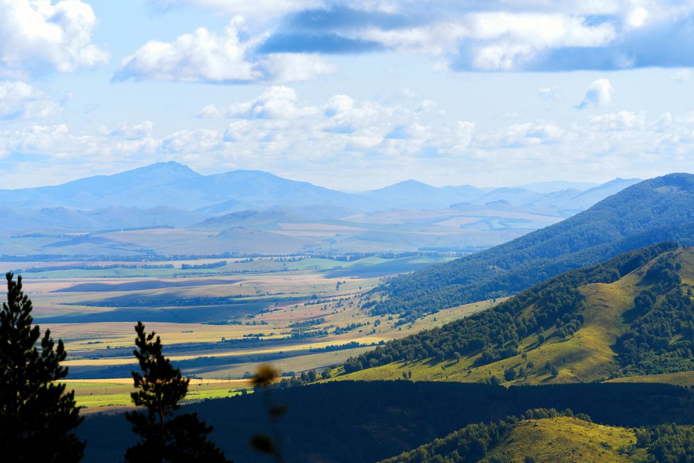 Фотография автора Владимир Зубков