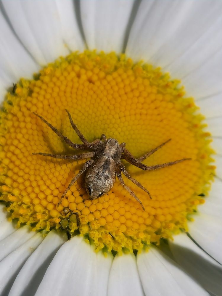 Фотография автора Ольга