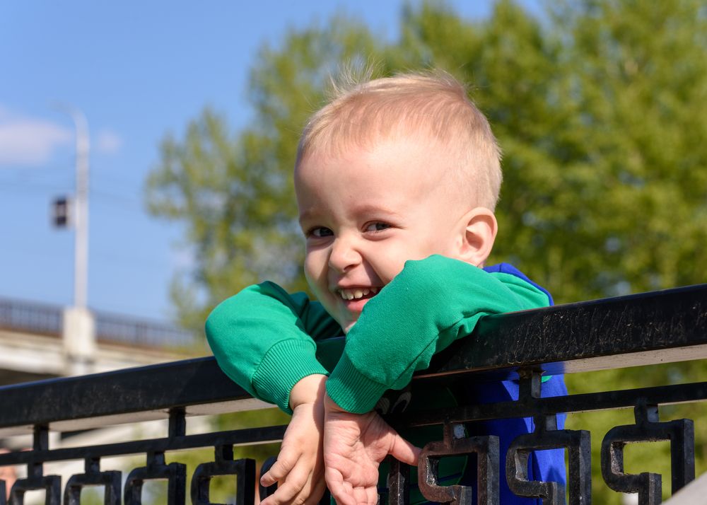 Фотография автора Владимир Зубков