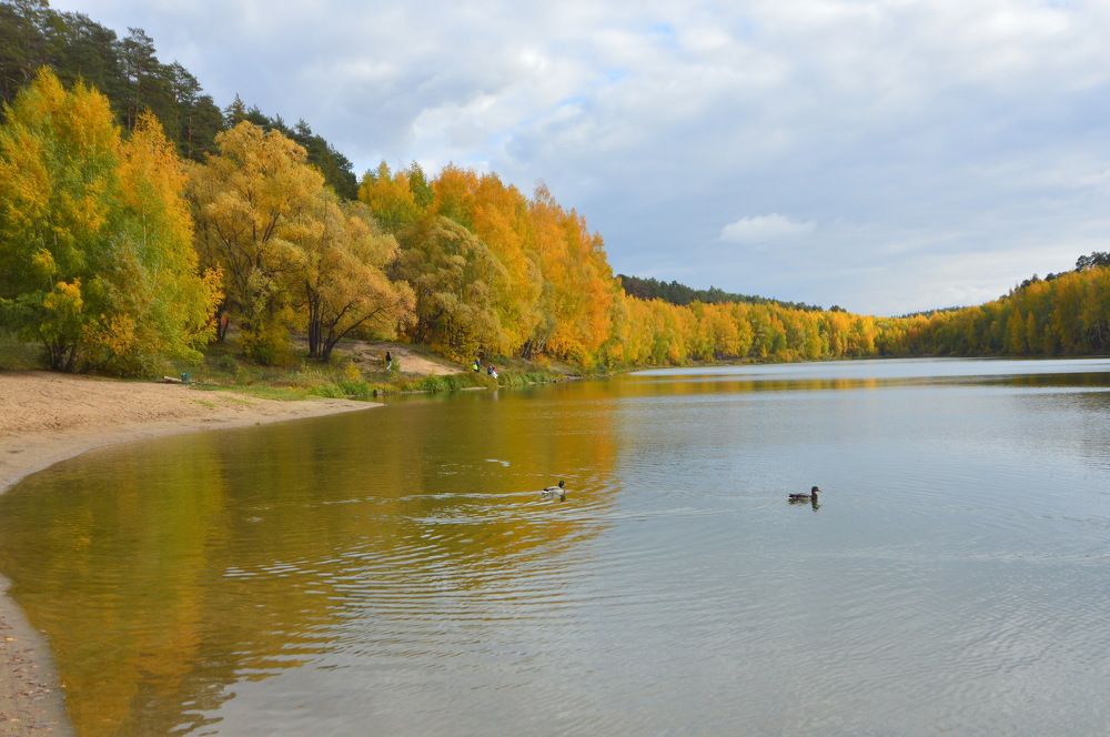 Фотография автора Клавдия Васильева