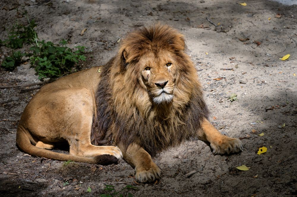 Photograph by Евгений Кучеренко