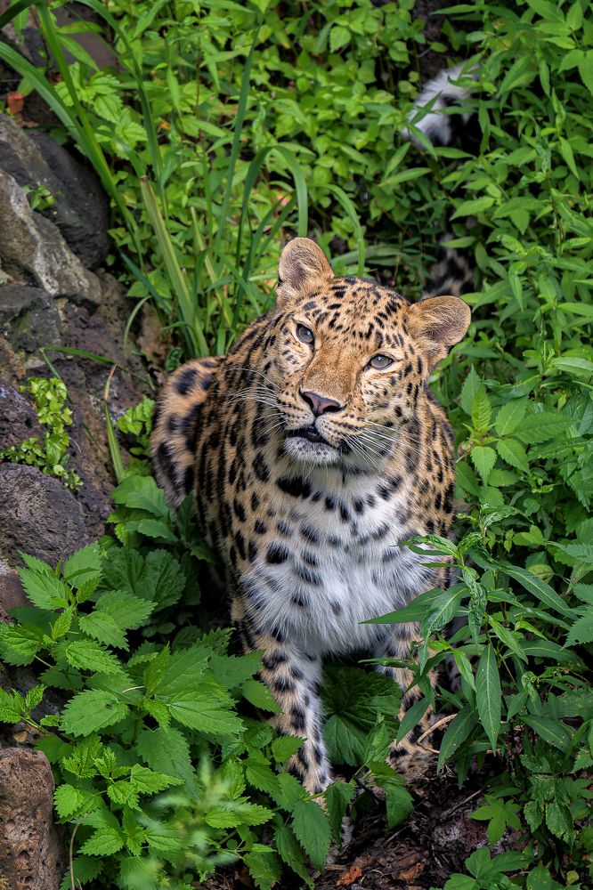 Photograph by Евгений Кучеренко